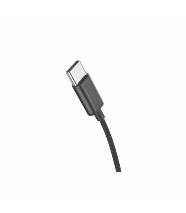 USB-C Digital Metal Earphones - H31A 🎧🔌💎 - Imagen 2
