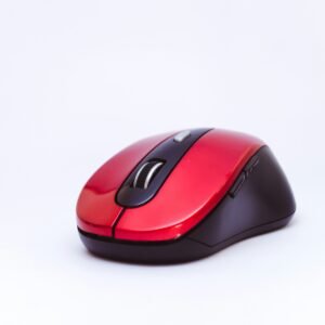 Mouse